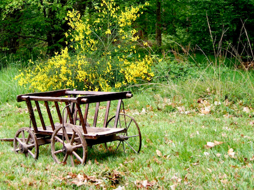 5ec279e6acdaa_balade-nature-famille-paris.png