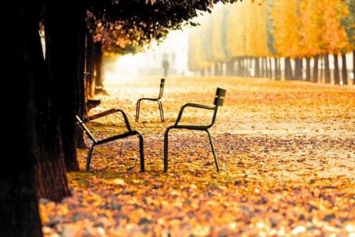 5f875c85999c5_automneparisavecdesenfants.jpg