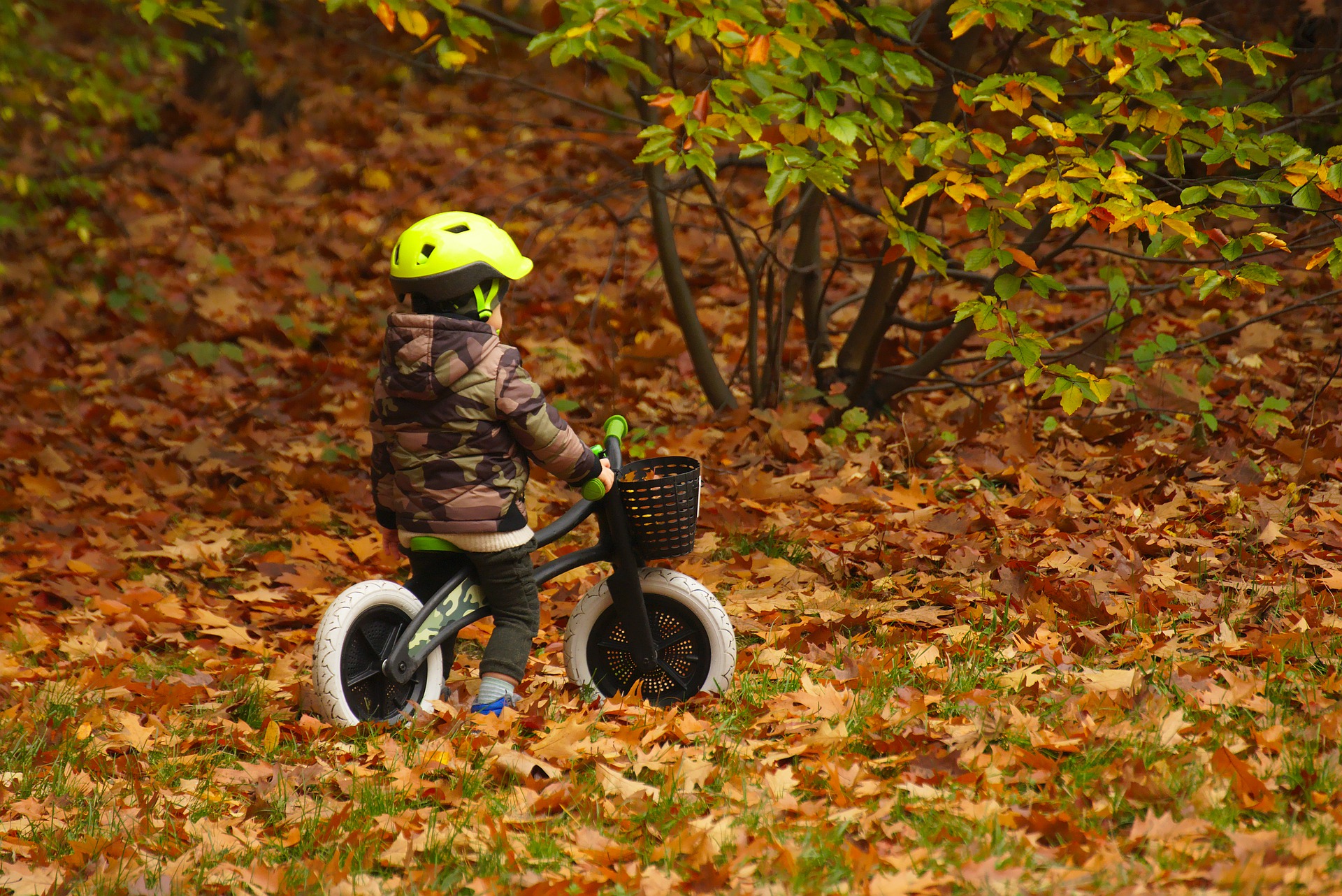6011999f17699_child-5740436_1920.jpg