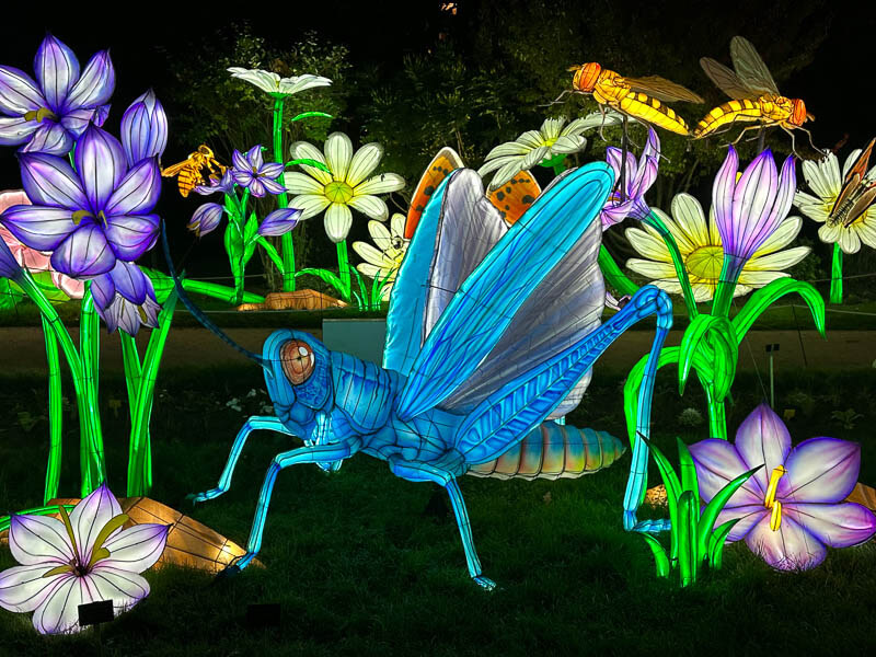63930dd63c13e_Mini-Mondes-en-voie-dillumination_MiniMondesIllumines_la-prairie_Jardin-des-plantes_MNHN_Paris_novembre_2022_02.jpeg